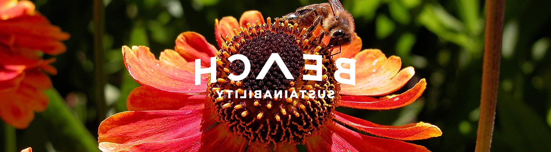 Banner with sustainability logo and bee on flower